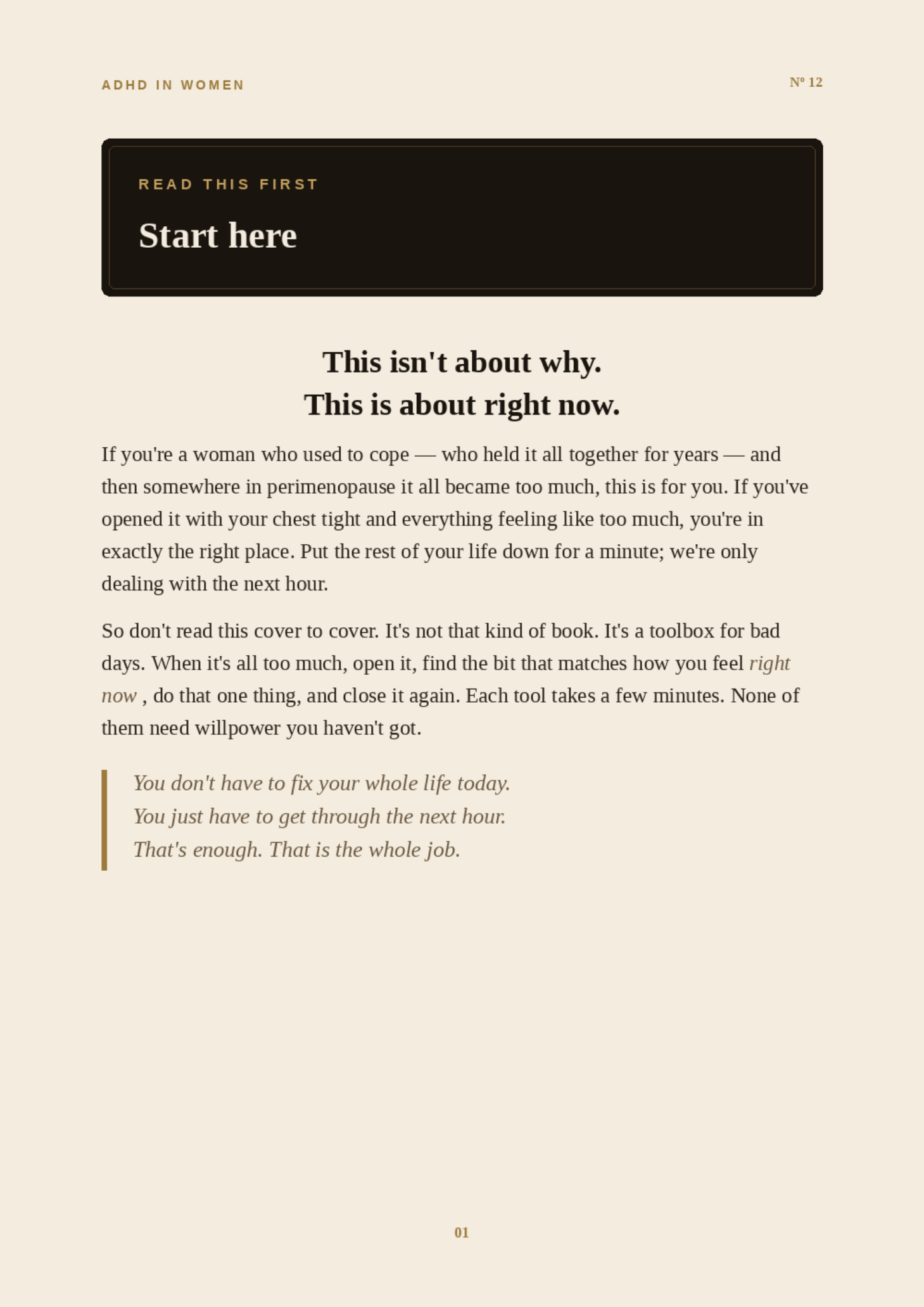 The Open This First page of the Relief Kit