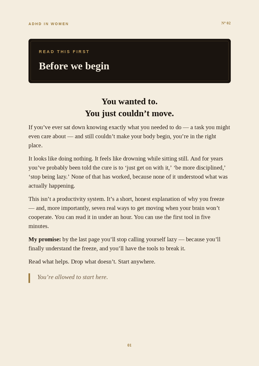 Inside the Why Can't I Make Myself Do Anything? guide