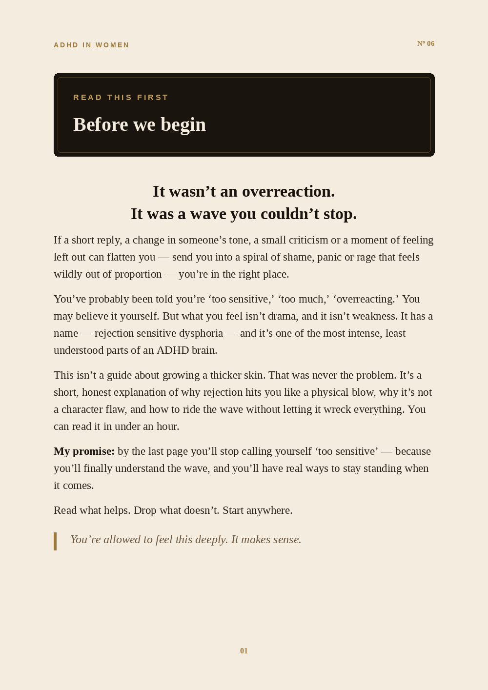 Inside the Why Does Rejection Destroy Me? guide