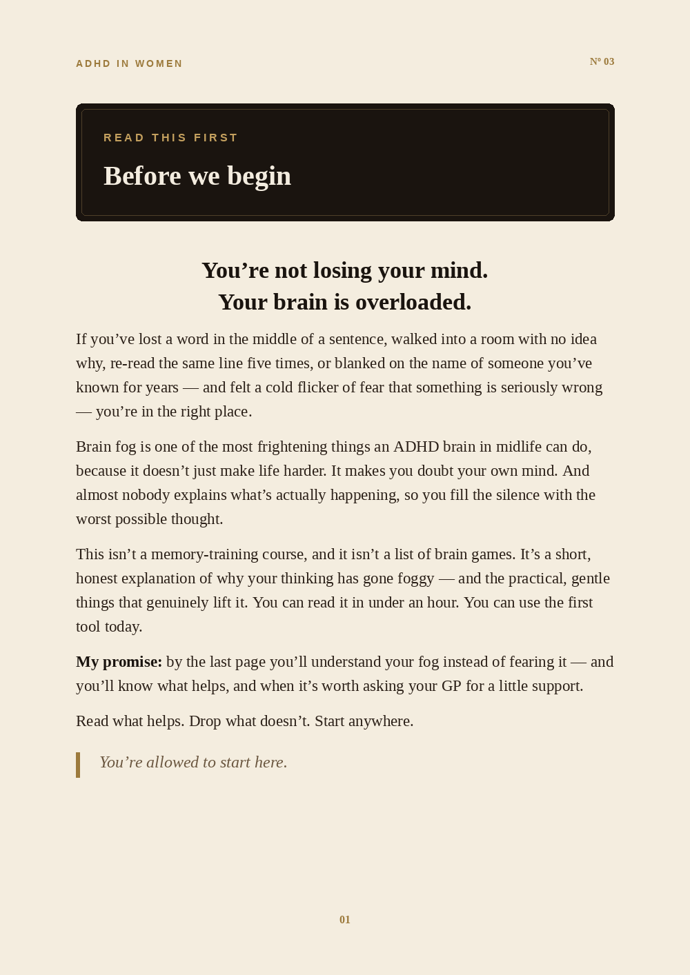 Inside the Why Is My Brain Fog So Bad? guide